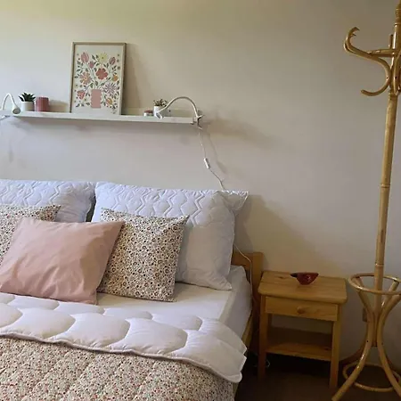 Apartment U Lesa