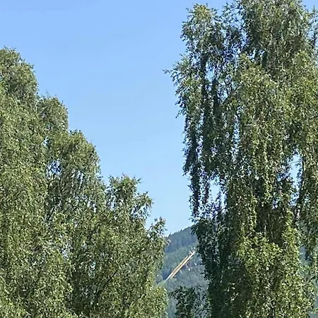 公寓 U Lesa