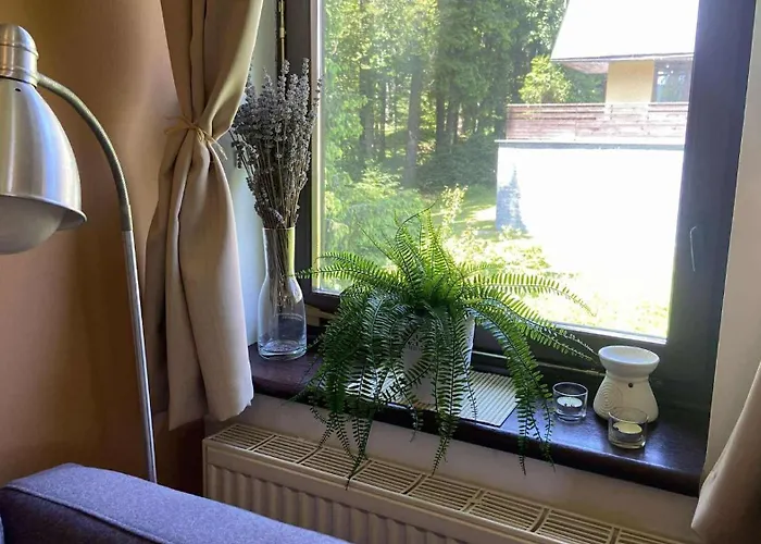 U Lesa 公寓 *