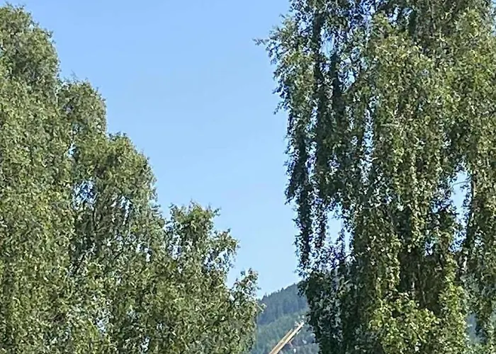 Апартаменты U Lesa